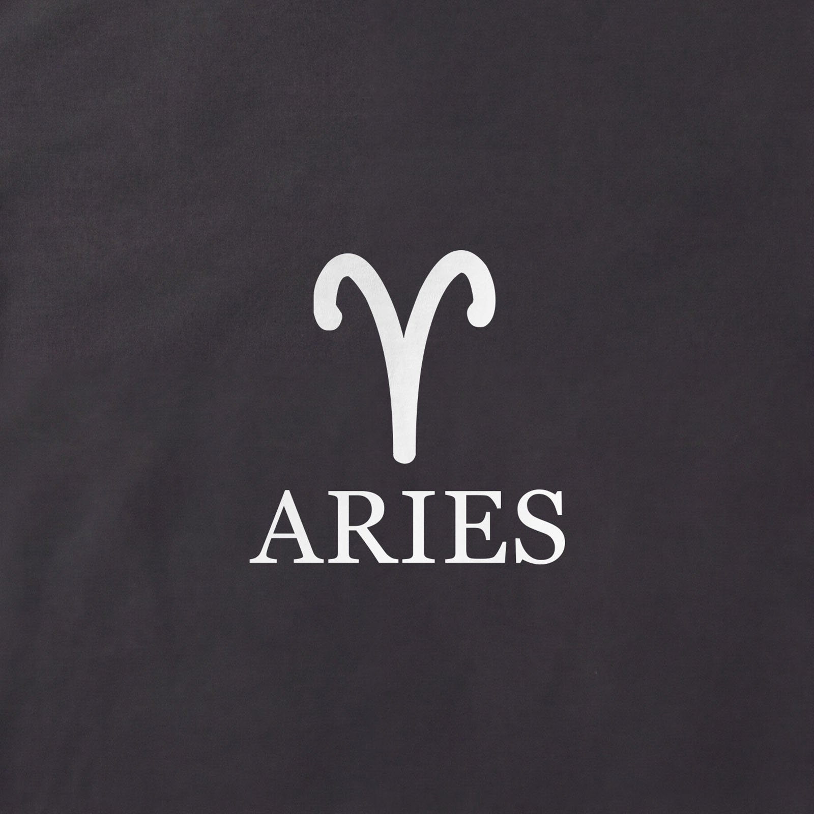 Aries Zodiac T-Shirt print detail in Black