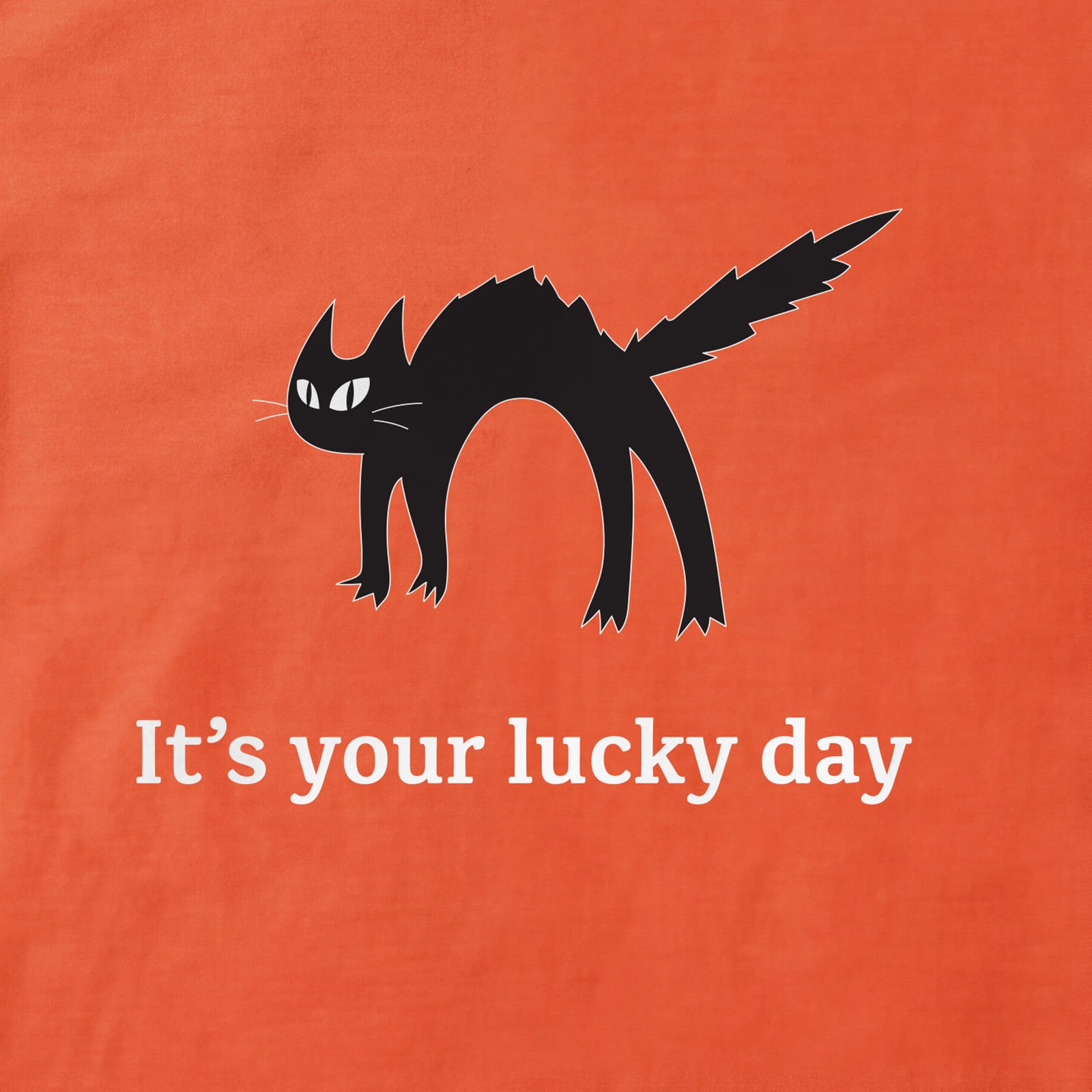 It's Your Lucky Day Black Cat T-Shirt print detail in Orange
